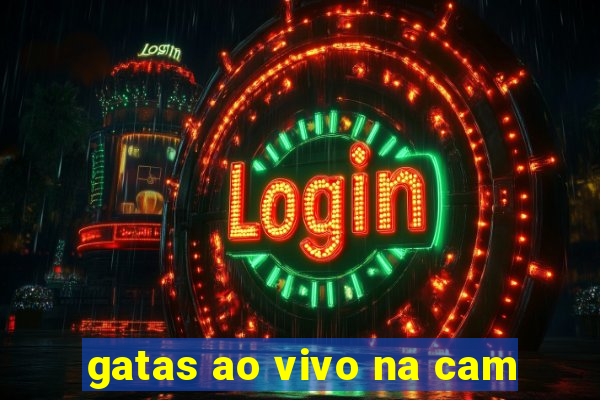 gatas ao vivo na cam
